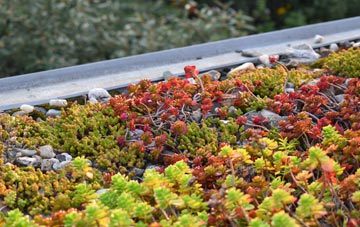the cost of Shevington Vale green roof installation
