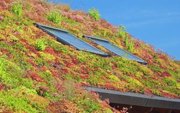 Shevington Vale living roof systems